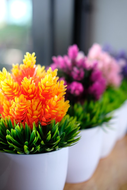 květiny v květináči